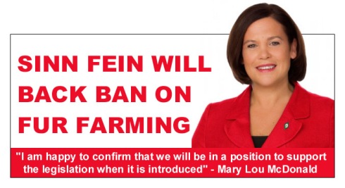 Sinn fein will back ban on fur farming