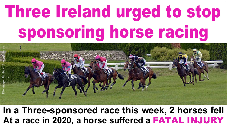 three ireland urged to srop sponsoring horse racing copy