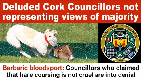 deluded cork councillors not representing views of majority copy