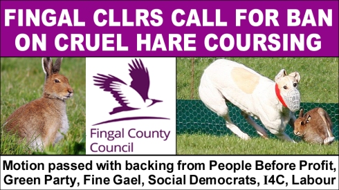 Fingal Cllrs call for ban on cruel hare coursing copy
