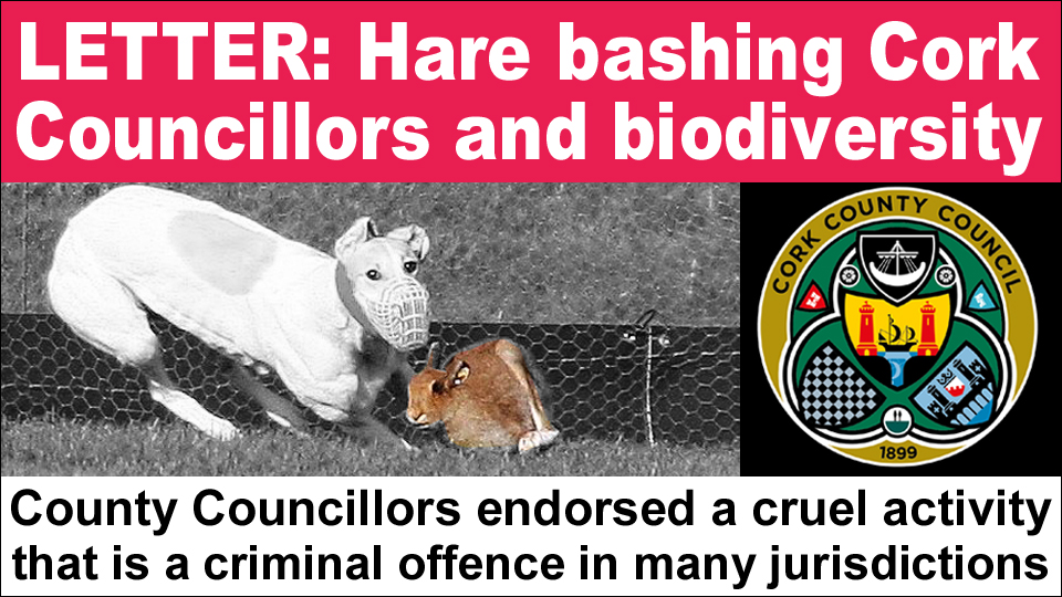Hare bashing councillors and biodiversity copy