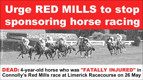 CONNOLLYS RED MILLS copy